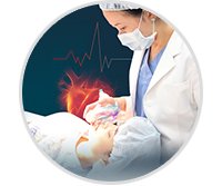 Ưu thế thu gọn cánh mũi 3 Ưu thế thu gọn cánh mũi 3