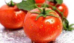 Cách trị hôi nách bằng cà chua