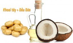 Khoai tây và dầu dừa giúp chữa trị bệnh hôi nách